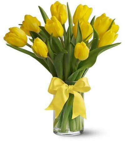 tulips